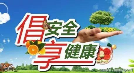 美味與生活 食品安全領域的革新與營養咨詢服務